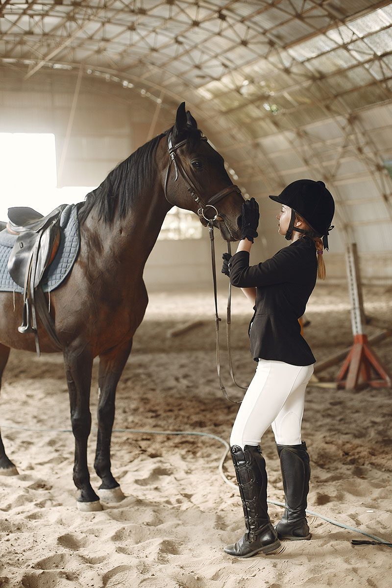 The rider in black form trains with the horse